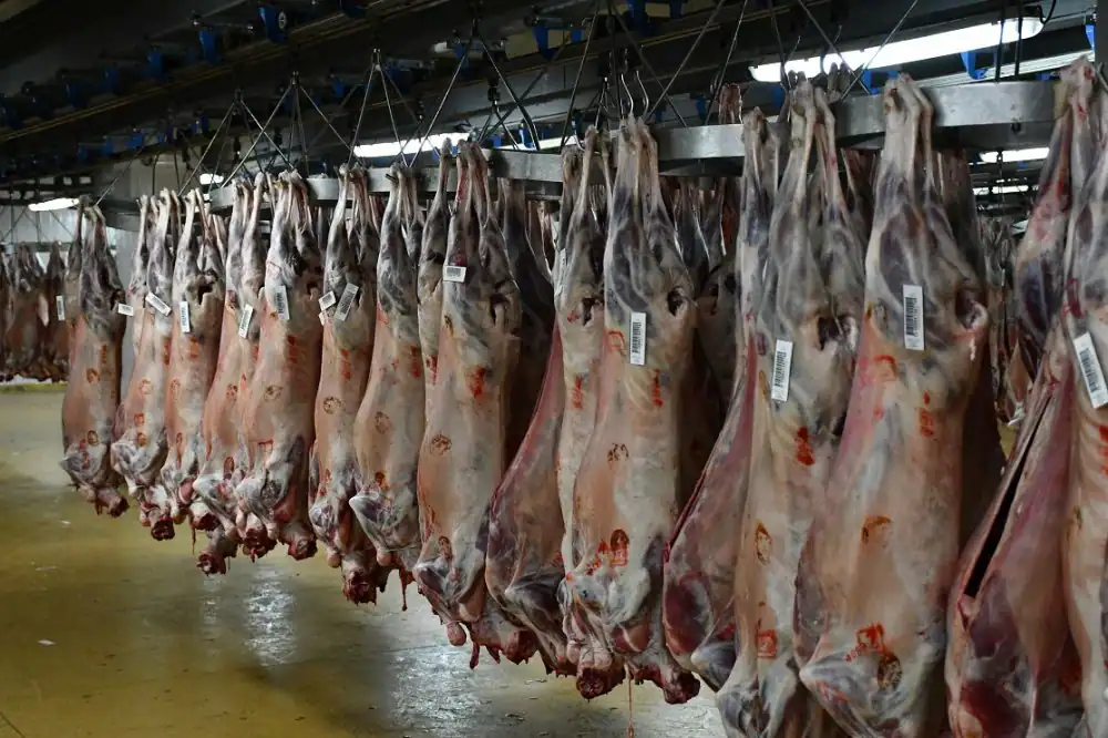 La viande rouge atteint un niveau record à Casablanca à l’approche de l’Aïd al-Adha ارتفاع أسعار اللحوم والخضر في الدار البيضاء مع اقتراب عيد الأضحى