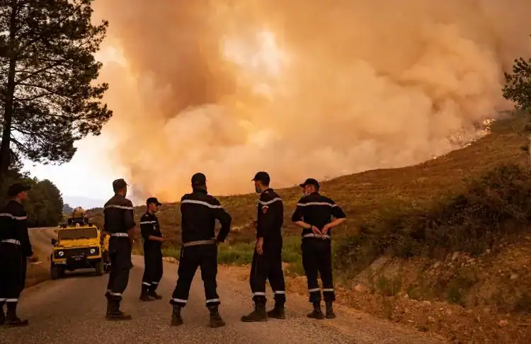 Le Maroc enregistre une réduction record de 86 % des incendies de forêt et alloue 16 millions de dollars au plan 2025 المغرب يسجل انخفاضاً قياسياً في حرائق الغابات 2024 ويخصص 16 مليون دولار لخطة 2025