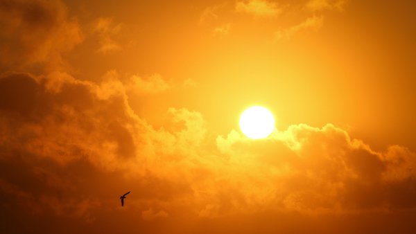 Une forte vague de chaleur frappe plusieurs régions du Maroc de mardi à vendredi (bulletin d’alerte) موجة حر تصل إلى 47 درجة تضرب المغرب من الثلاثاء إلى الجمعة