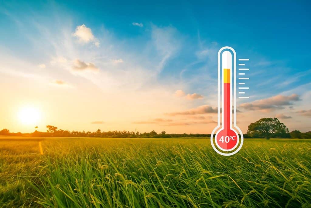 توقعات الطقس بالمغرب: طقس حار ورياح قوية الثلاثاء 1 يوليوز