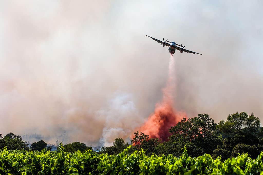 Les incendies en France causent des dégâts records et les autorités arrêtent plus de 400 personnes حرائق فرنسا تسجل أضرارا قياسية و420 موقوفا