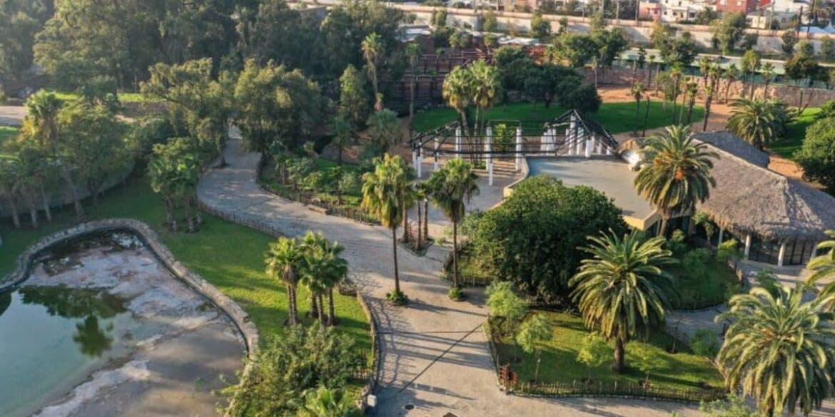 افتتاح حديقة الحيوانات بعين السبع في يونيو بعد 13 سنة من الإغلاق