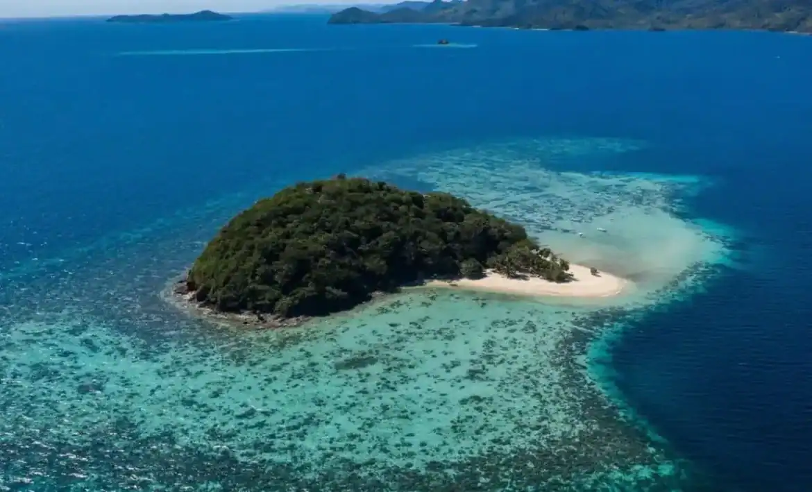 توفالو تبدأ تجربة الذكاء الاصطناعي في إدارة الدولة لمواجهة التحديات المناخية